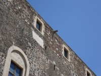 /album/galerie-de-photos%3a-ch%c3%a2teau-d%27ursino/sdc11365-jpg/
