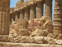 /album/galerie-de-photos-les-temples1/sdc11453-jpg/