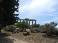 /album/galerie-de-photos-les-temples1/sdc11458-jpg/