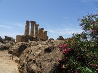 /album/galerie-de-photos-les-temples1/sdc11491-jpg/