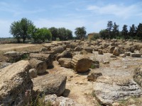 /album/galerie-de-photos-les-temples1/sdc11533-jpg/